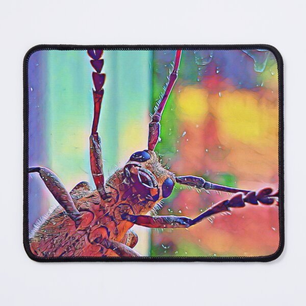 Item preview, Bob the bug designed and sold by Bobthebug.