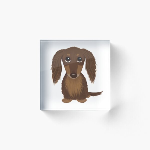 Longhaired Chocolate Brown Dachshund Cartoon Dog Acrylic Block