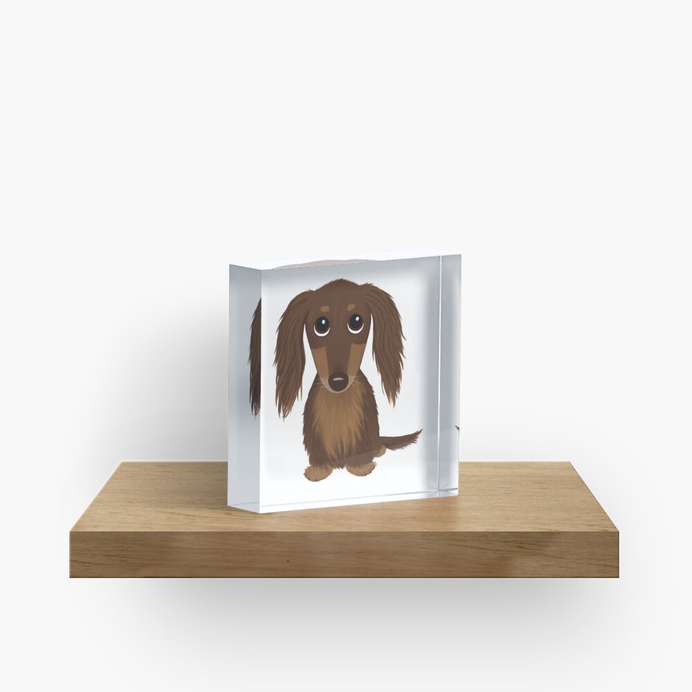 Longhaired Chocolate Brown Dachshund Cartoon Dog Acrylic Block