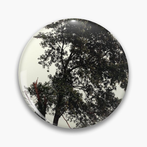 Item preview, Leaning Tree designed and sold by zeebuzz.