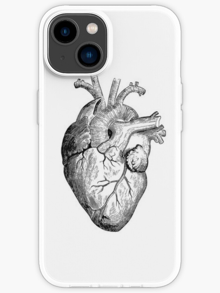 Heart Realistic - Drawing Realistic Heart PNG Image With Transparent  Background | TOPpng