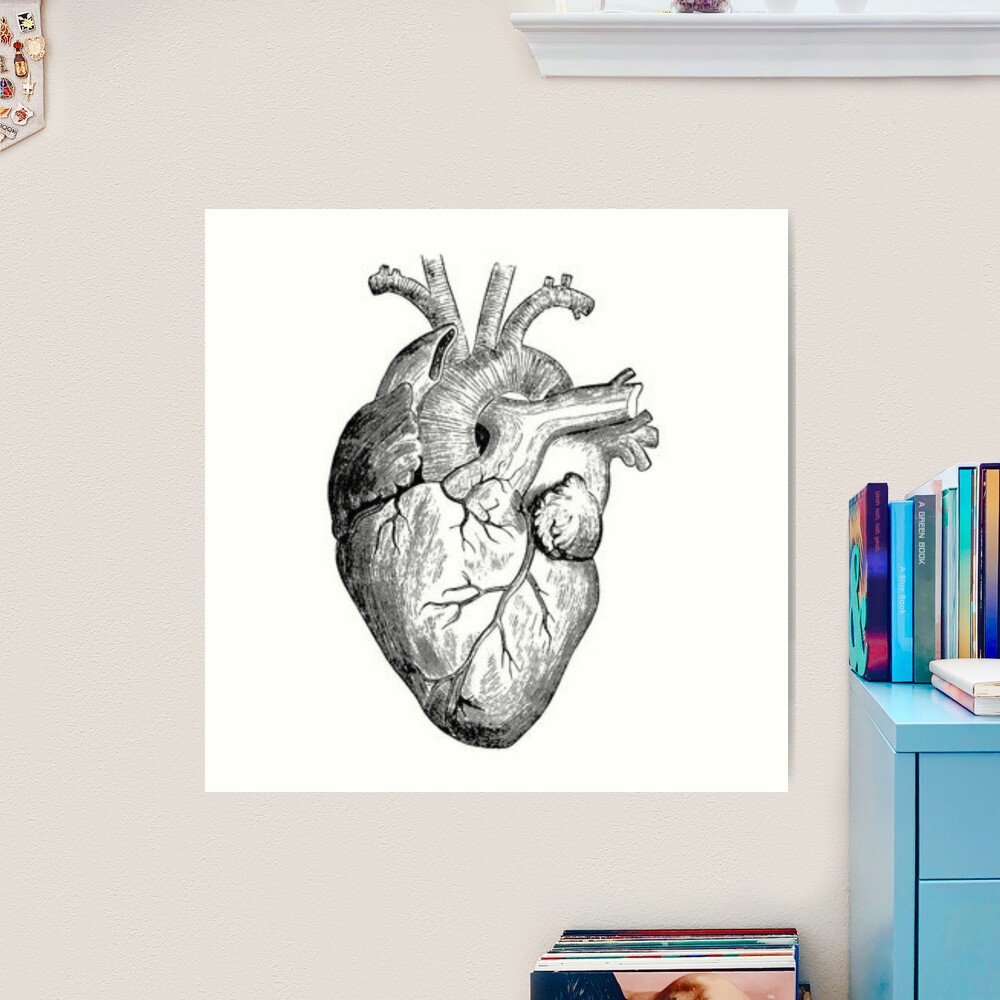 Anatomical Heart, an art print by Fig Rainey - INPRNT