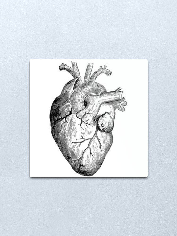 Realistic Heart Drawing Metal Print By Rockymountains Redbubble