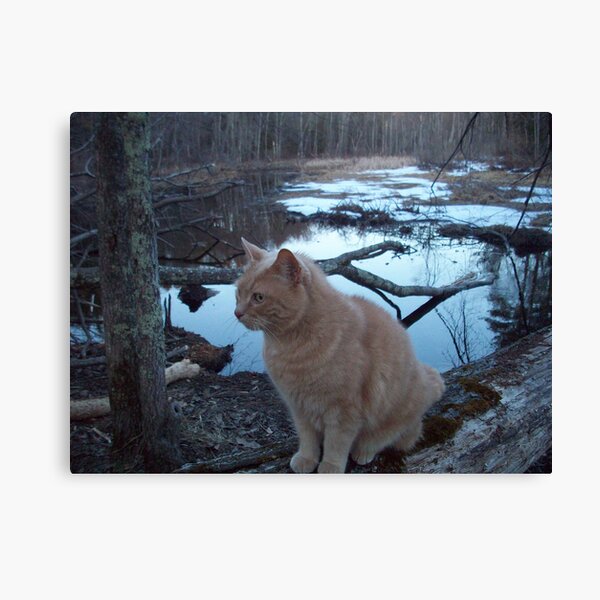 Item preview, Milo hanging out in the swamp designed and sold by milo1262.