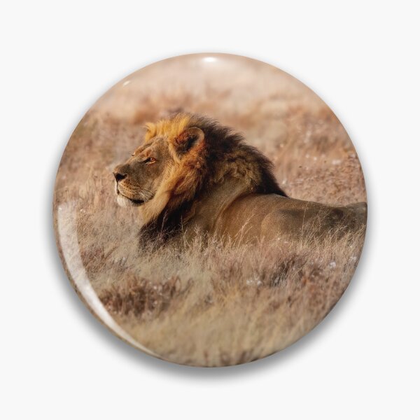 Item preview, Lion Waiting designed and sold by Kay Brewer.