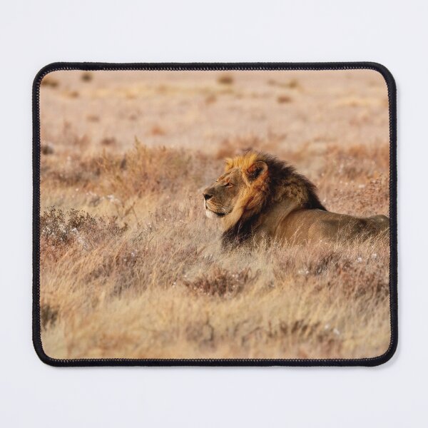 Item preview, Lion Waiting designed and sold by Kay Brewer.
