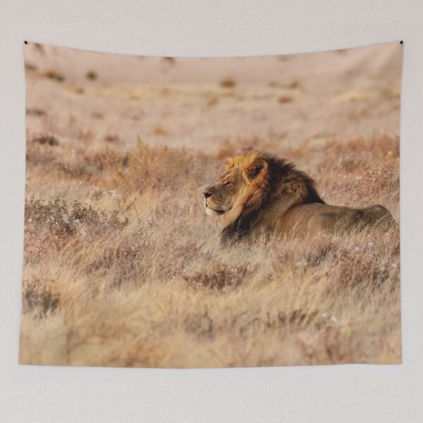 Item preview, Lion Waiting designed and sold by Kay Brewer.