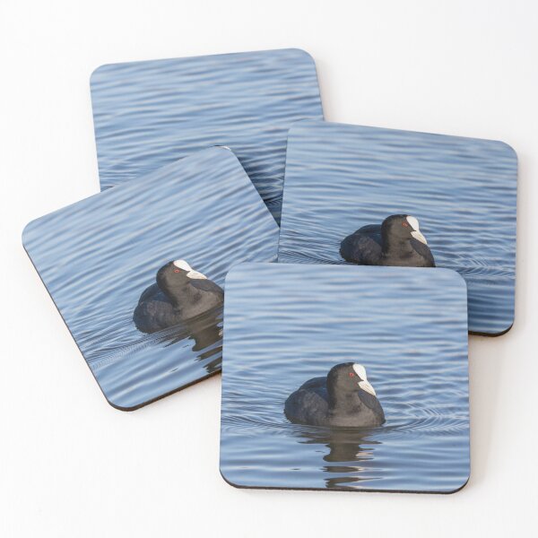 Item preview, Coot designed and sold by Margriet Photography .