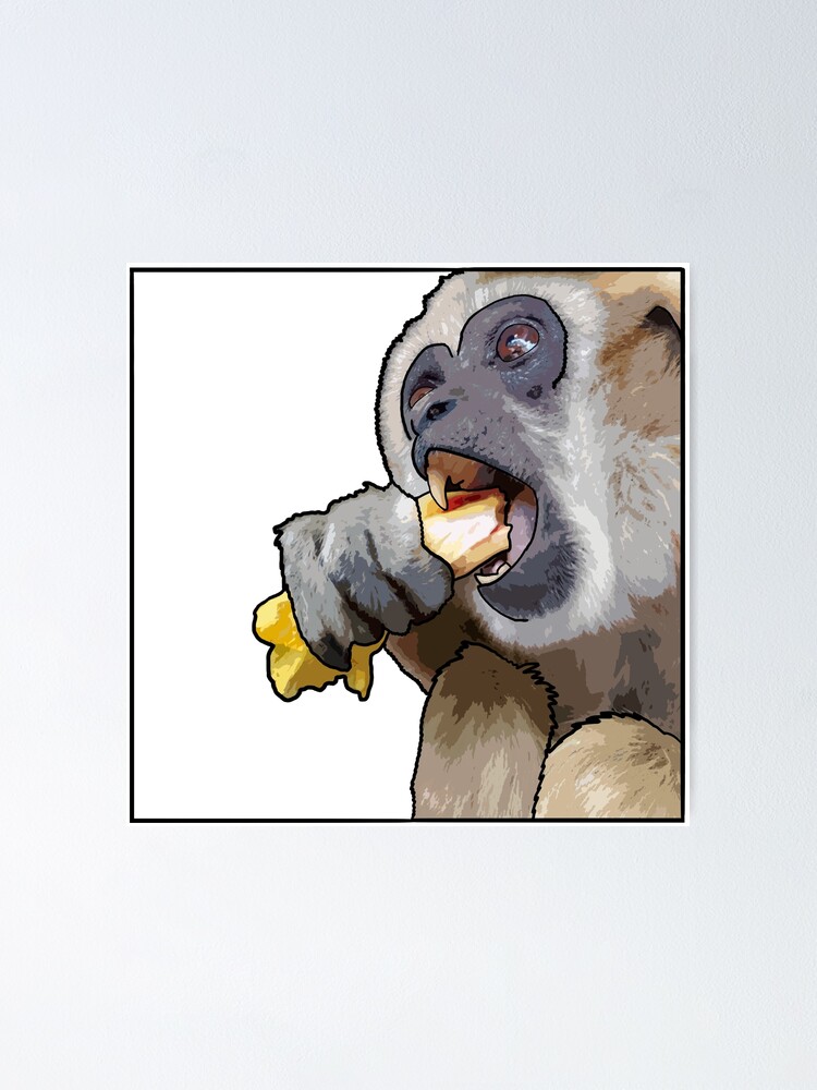Imagen 1 de 3, Póster con la obra Square Snacking Gibbon, diseñada y vendida por UnderbiteShop.