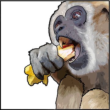 Imagen de la obra Square Snacking Gibbon de UnderbiteShop