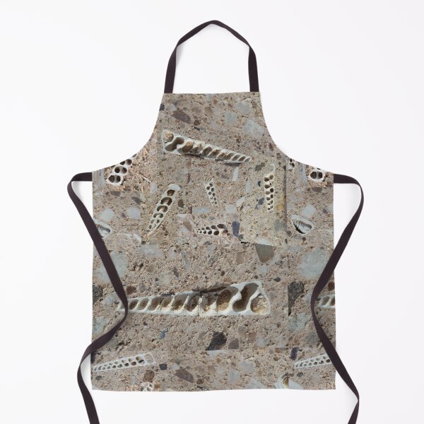 Item preview, Fossil Seashells with Exposed Spiral Shapes designed and sold by Creative Endeavors ..
