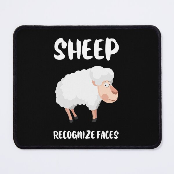 Item preview, Sheep recognize Faces Animal Facts Fun Trivia Education designed and sold by StudioTVDinners.