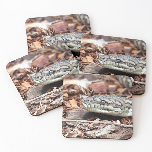 Item preview, Coastal carpet python snake designed and sold by Mark Grimsley.