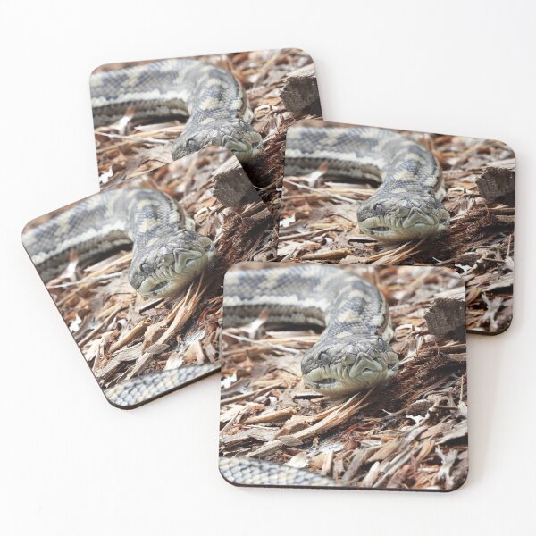 Item preview,  Coastal carpet python snake face designed and sold by Mark Grimsley.