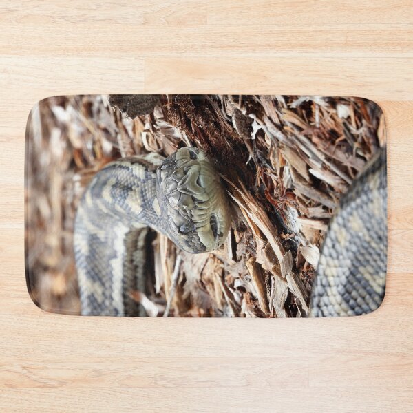 Item preview, Coastal carpet python snake face designed and sold by Mark Grimsley.