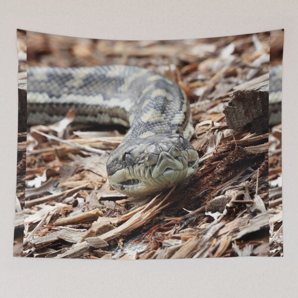 Item preview,  Coastal carpet python snake face designed and sold by Mark Grimsley.