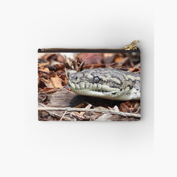 Item preview, Coastal carpet python snake designed and sold by Mark Grimsley.