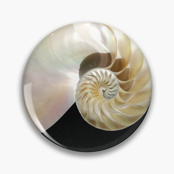 Item preview, Chambered Nautilus Shell Sliced in Half with Black Background designed and sold by Creative Endeavors ..