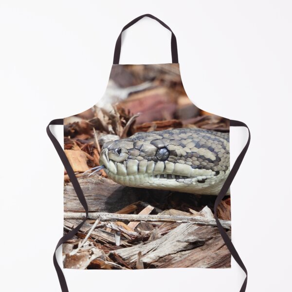 Item preview, Coastal carpet python snake designed and sold by Mark Grimsley.