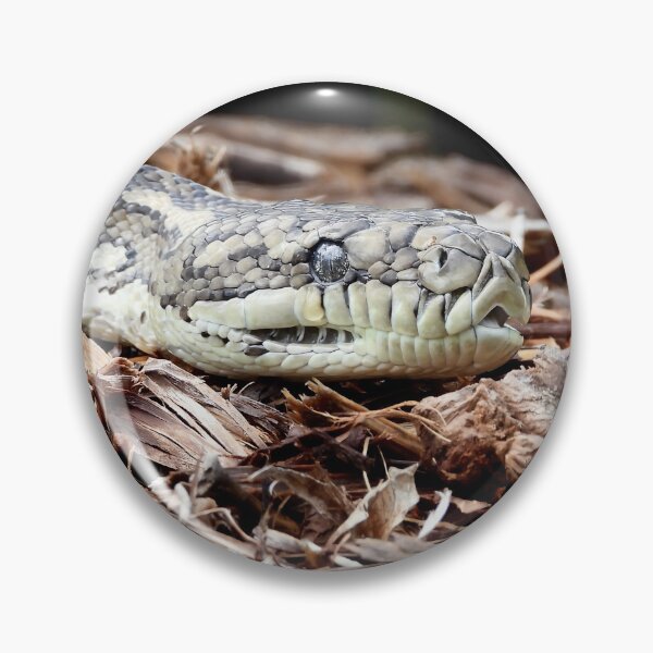 Item preview, Coastal carpet python snake named Stumpy designed and sold by Mark Grimsley.