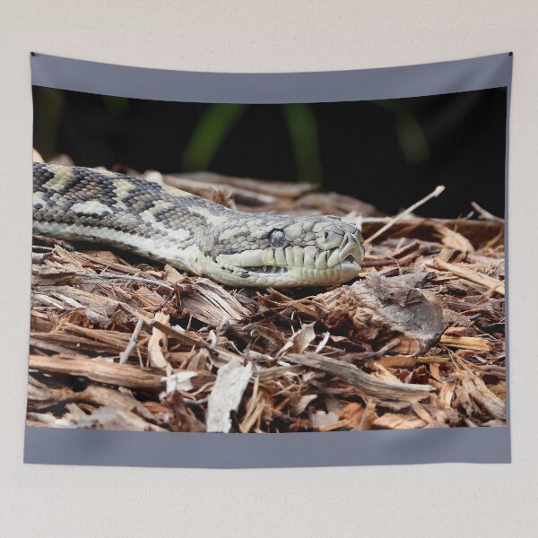 Item preview, Coastal carpet python snake named Stumpy designed and sold by Mark Grimsley.