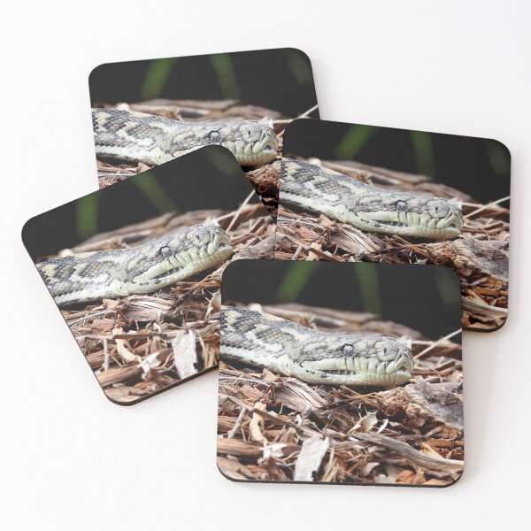 Item preview, Coastal carpet python snake named Stumpy designed and sold by Mark Grimsley.