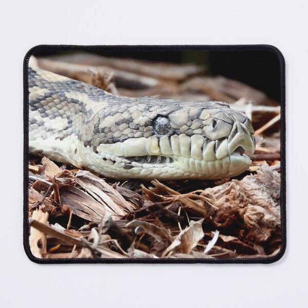 Item preview, Coastal carpet python snake named Stumpy designed and sold by Mark Grimsley.