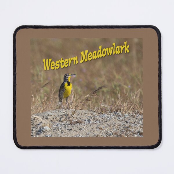 Item preview, Western Meadowlark designed and sold by CarolM.