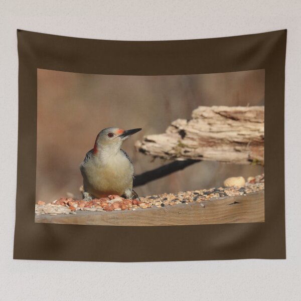 Item preview, Red Bellied Woodpecker Posing designed and sold by Deb Oppermann.