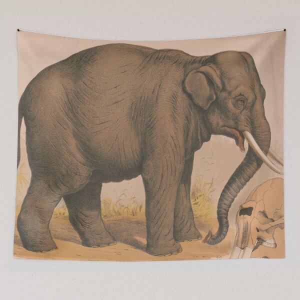 Item preview, Vintage Elephant Illustration (1874) designed and sold by BravuraMedia.