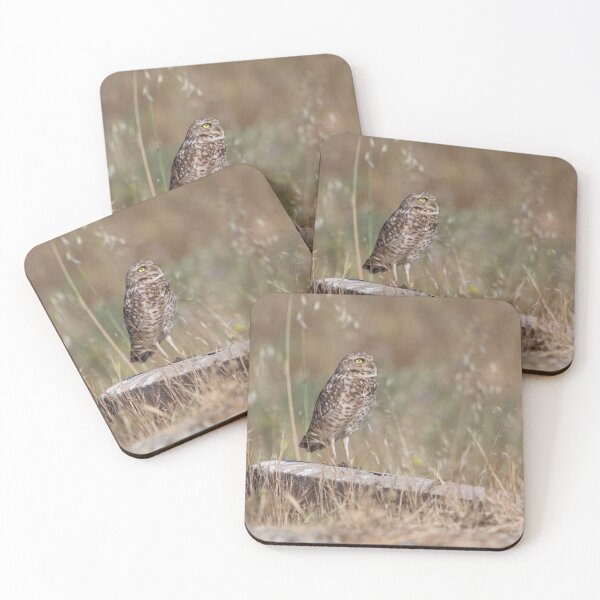 Item preview, Burrowing Owl in The Field designed and sold by CarolM.