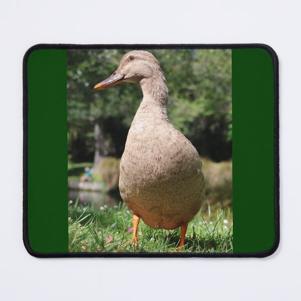 Item preview, Cheeky Smiling Duck designed and sold by deanworld.