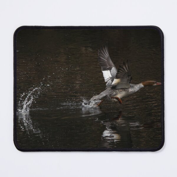 Item preview, Merganser Take Off designed and sold by RickShag.