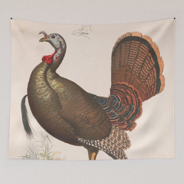 Item preview, Vintage Wild Turkey Illustration (1872) designed and sold by BravuraMedia.