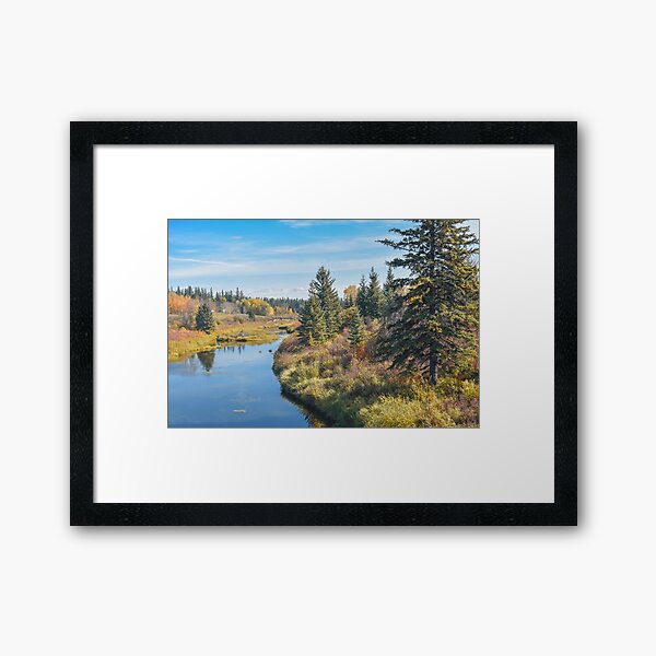 Item preview, River Through Autumn Forest in Alberta, Canada designed and sold by Amy Mitchell.