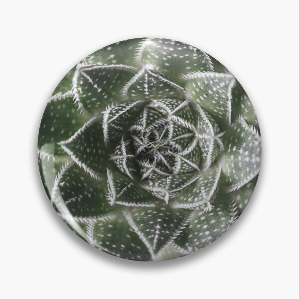 Item preview, Aloe Aristata designed and sold by assaf.