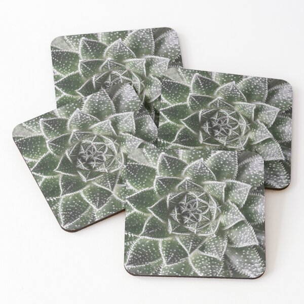 Item preview, Aloe Aristata designed and sold by assaf.