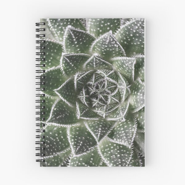 Item preview, Aloe Aristata designed and sold by assaf.