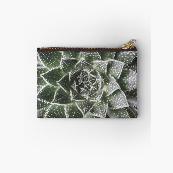 Item preview, Aloe Aristata designed and sold by assaf.