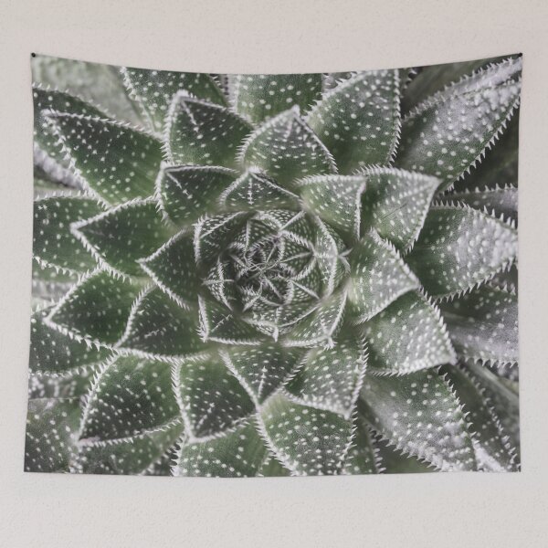 Item preview, Aloe Aristata designed and sold by assaf.