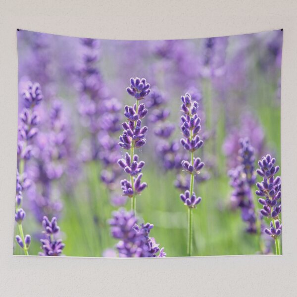 Item preview, Fields of Purple designed and sold by assaf.
