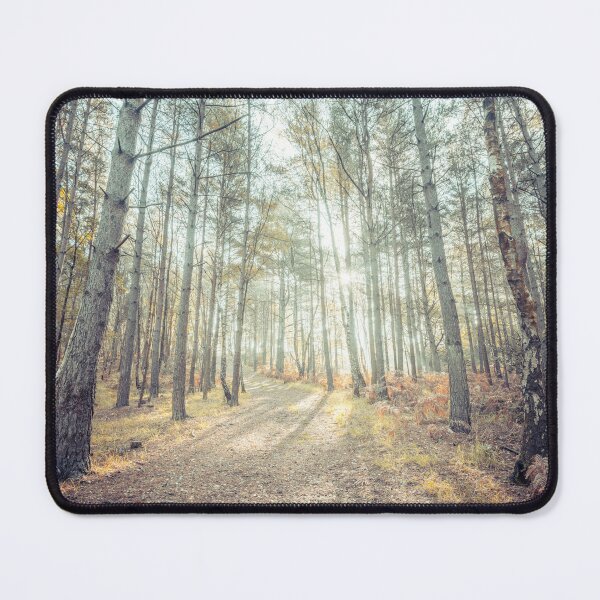 Item preview, Tranquil Pathway designed and sold by assaf.