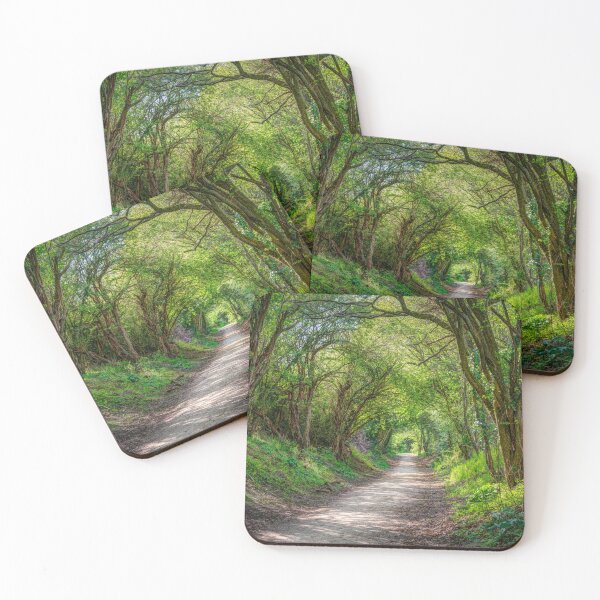Item preview, Journey through Forest designed and sold by assaf.