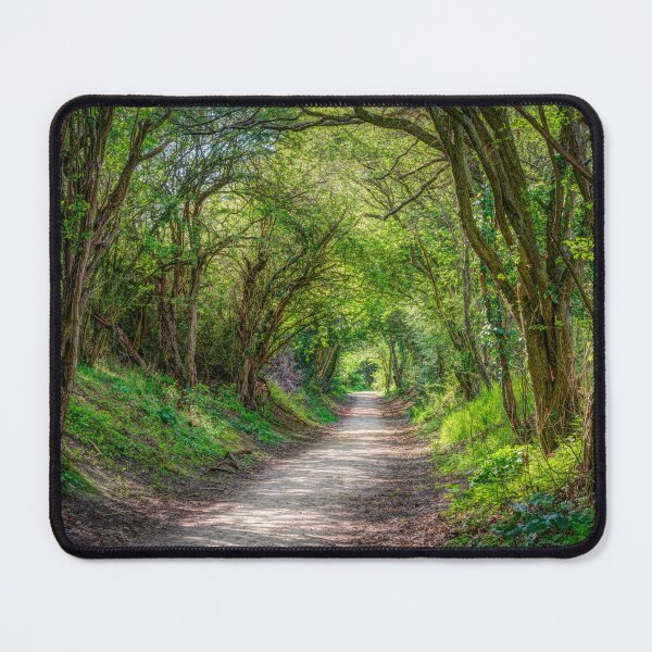 Item preview, Journey through Forest designed and sold by assaf.
