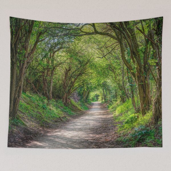 Item preview, Journey through Forest designed and sold by assaf.