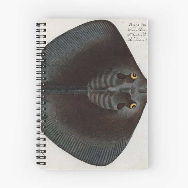 Item preview, Vintage Stingray Illustration (1785) designed and sold by BravuraMedia.