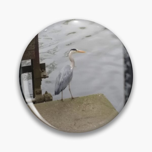 Item preview, #312 |☼| Grey Heron At The Pier (Jephson Gardens) designed and sold by Naean H.F. (Nez Man).