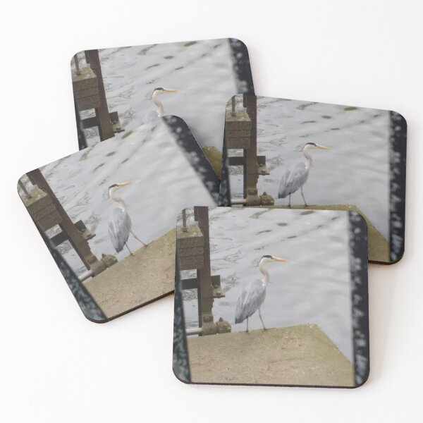 Item preview, #312 |☼| Grey Heron At The Pier (Jephson Gardens) designed and sold by Naean H.F. (Nez Man).