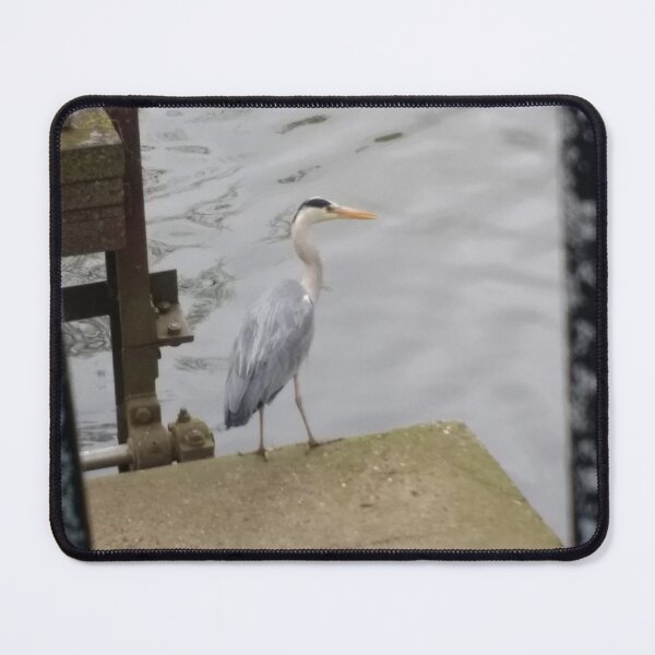 Item preview, #312 |☼| Grey Heron At The Pier (Jephson Gardens) designed and sold by Naean H.F. (Nez Man).