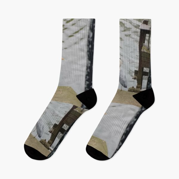 Item preview, #312 |☼| Grey Heron At The Pier (Jephson Gardens) designed and sold by Naean H.F. (Nez Man).